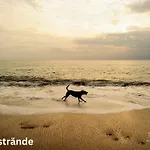 Strandnest *