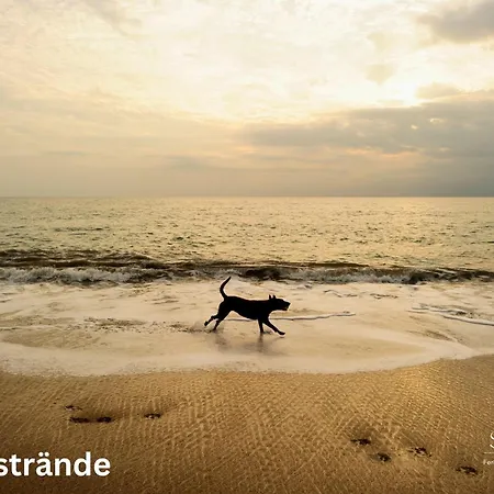 Strandnest *